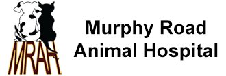 Link to Homepage of Murphy Road Animal Hospital